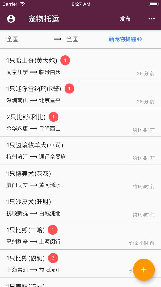 最新待托运宠物